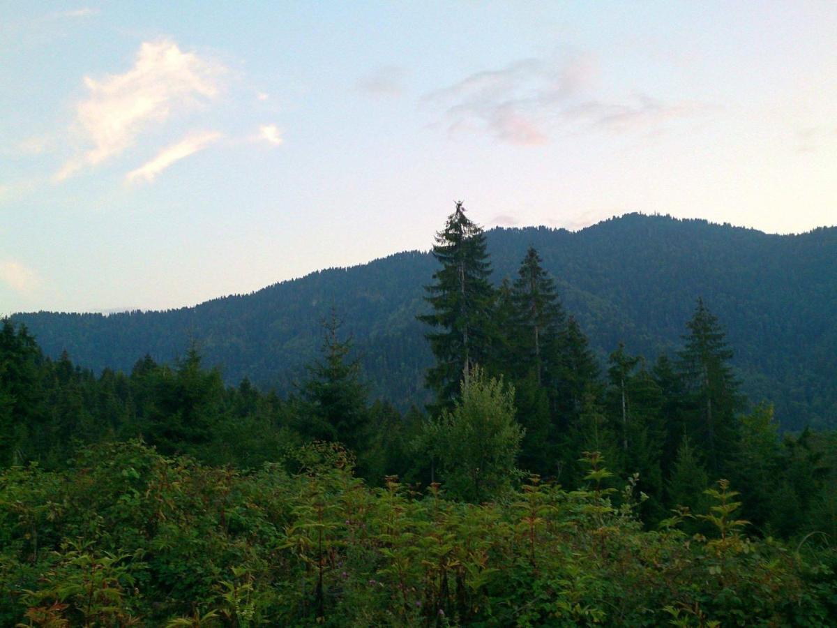Mountain Resort Gantiadi Borjomi Bagian luar foto