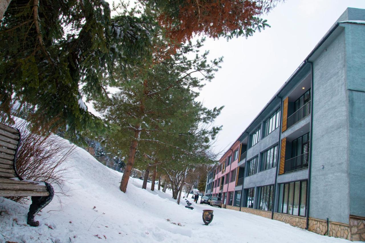 Mountain Resort Gantiadi Borjomi Bagian luar foto